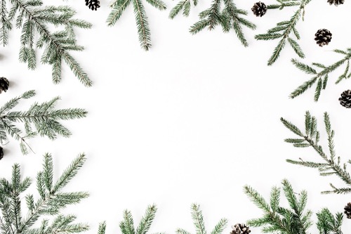 Help SD kaart stuk of bestanden kwijt