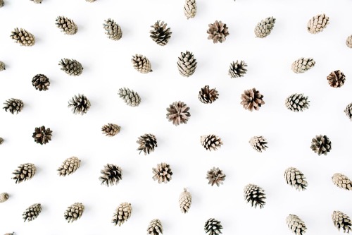 Hoe voorkom je dat je je shoot kwijtraakt?