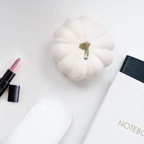 Betaald formulieren maken en laat je klanten meteen betalen bij een boeking van je shoot