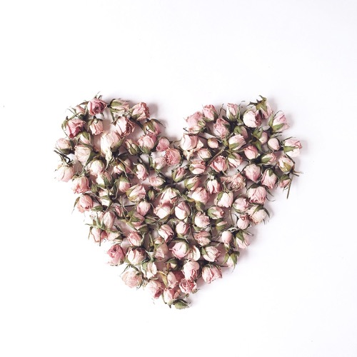 Studio Management Academy