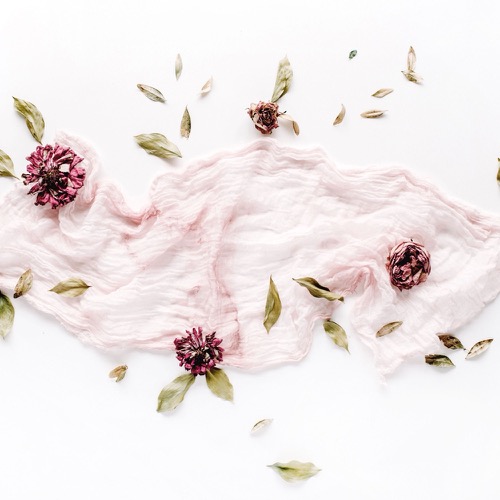 Waarom iedere fotograaf in 2025 een CRM nodig heeft